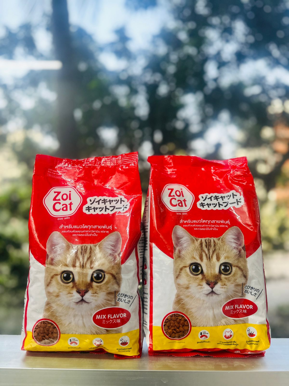 1777879745_zoi-cat-adult-mix-net-1kg-tk-400.jpg
